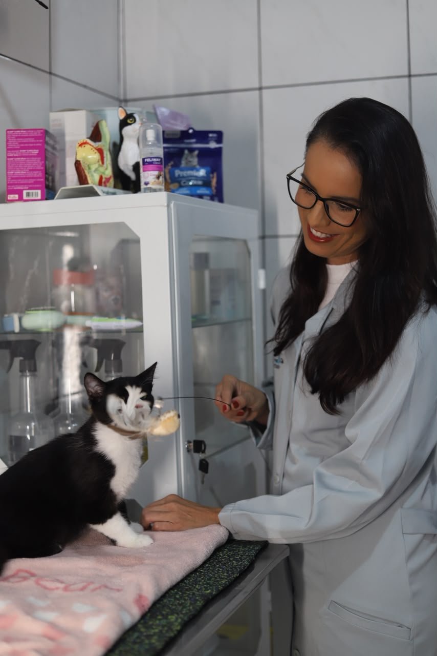 Gatos 4